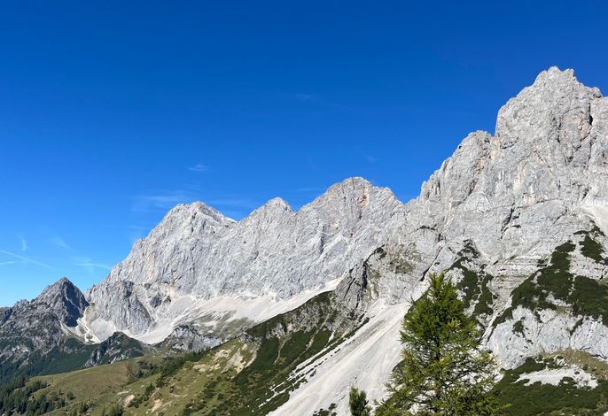 Bild 61