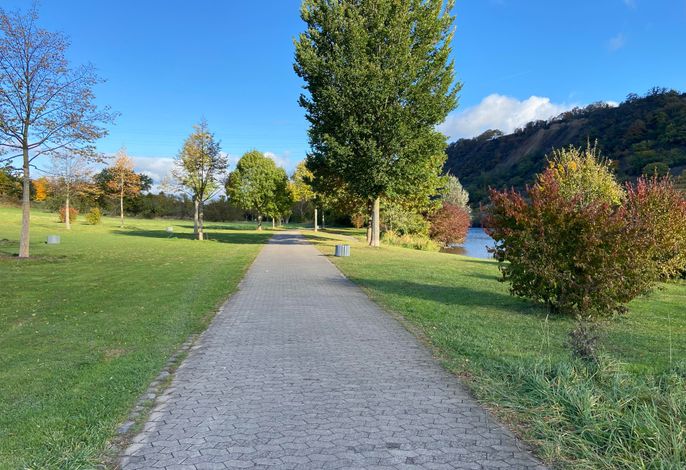 Bild 12