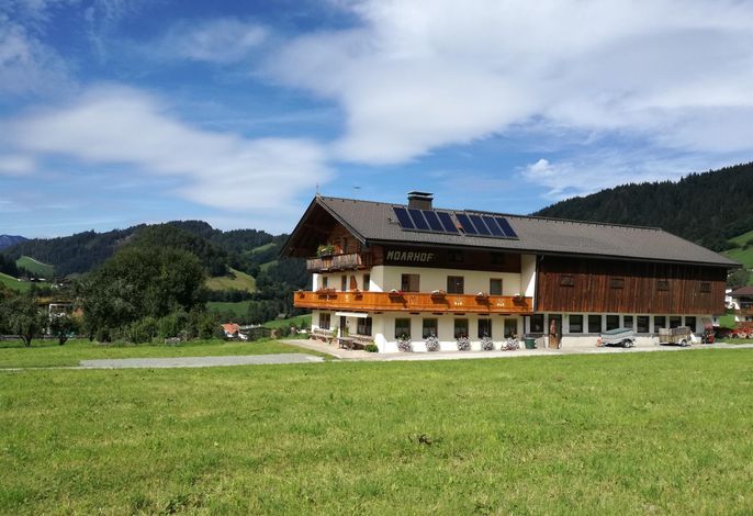 Appartement "Ramsen"