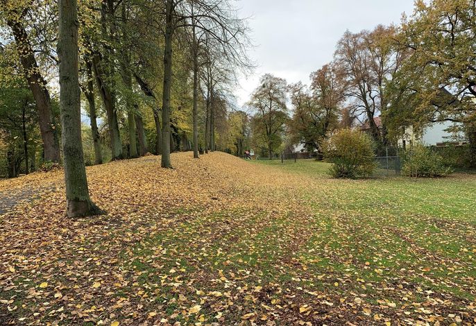 Bild 22