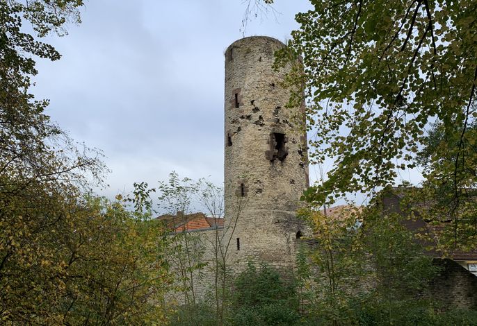 Bild 17