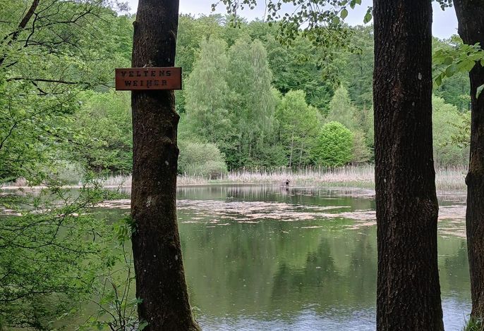 Bild 18