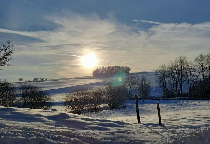 Bild 14