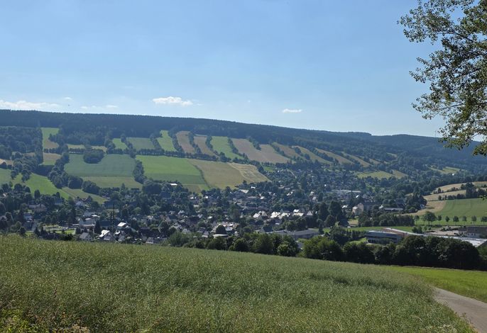 Bild 7