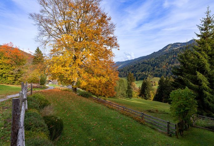 Bild 18