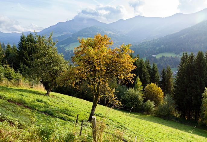 Bild 19