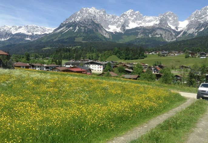 Bild 39