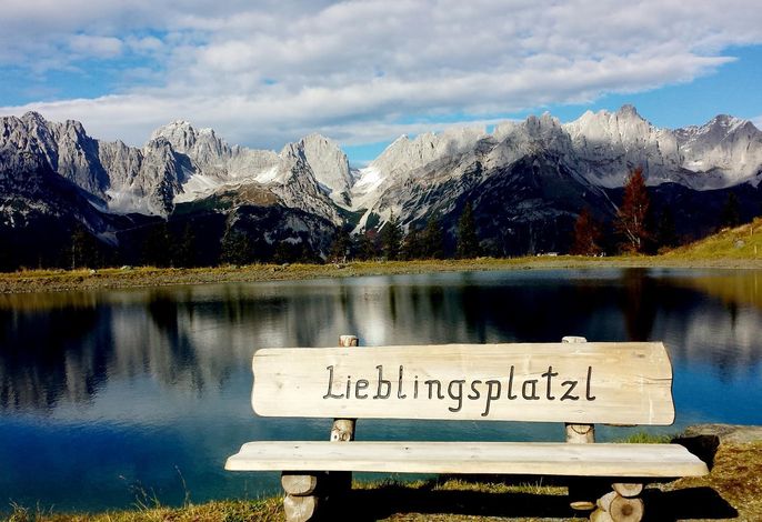 Bild 17