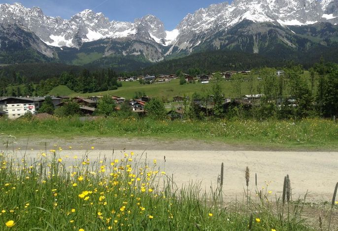 Bild 38