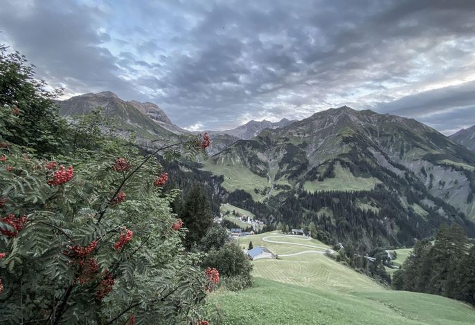 Bild 29