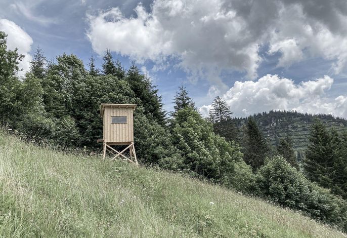 Bild 19