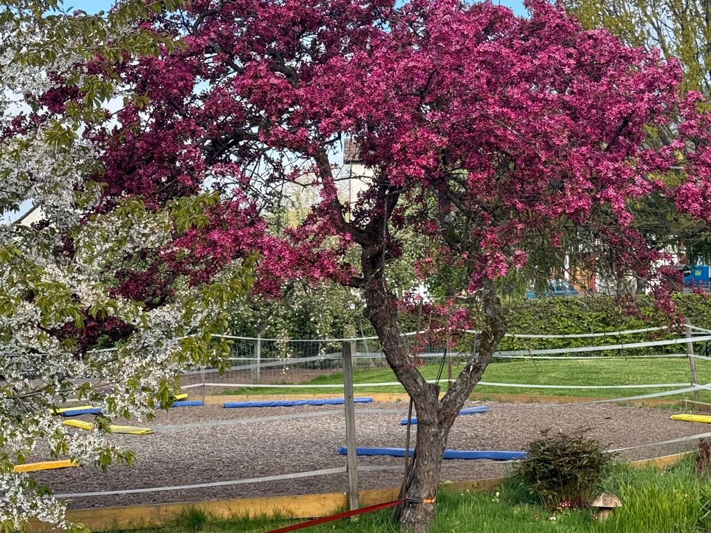 Ferienhäuser Holenberg