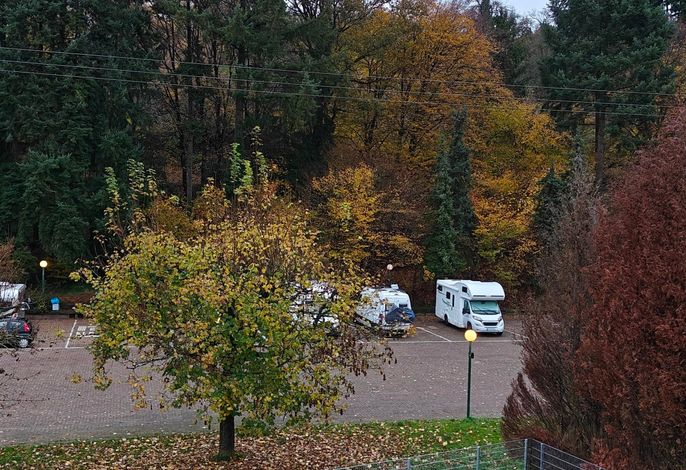 Bild 12