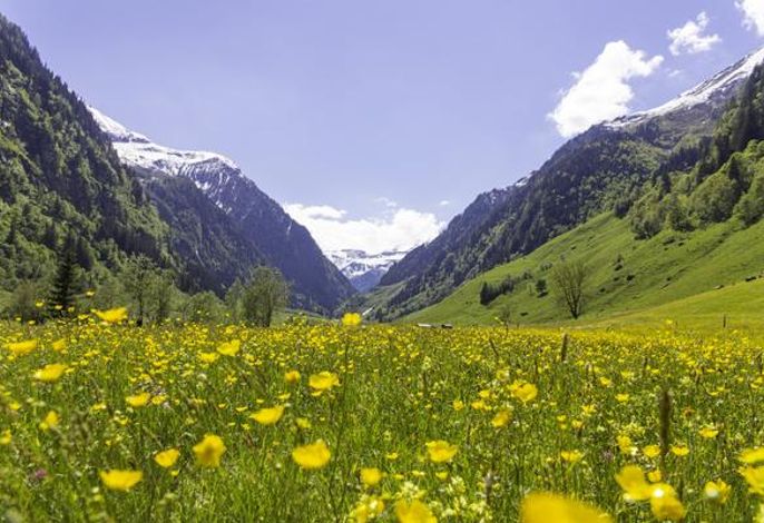 Bild 16
