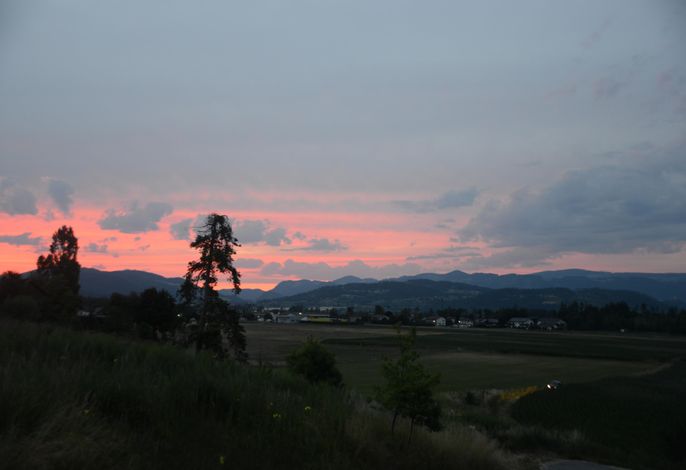 Bild 64