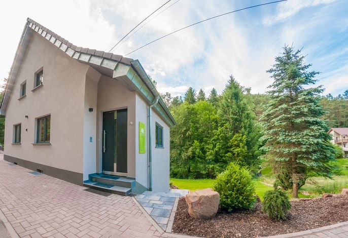 Ferienhaus waldReich