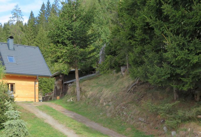 Bild 41