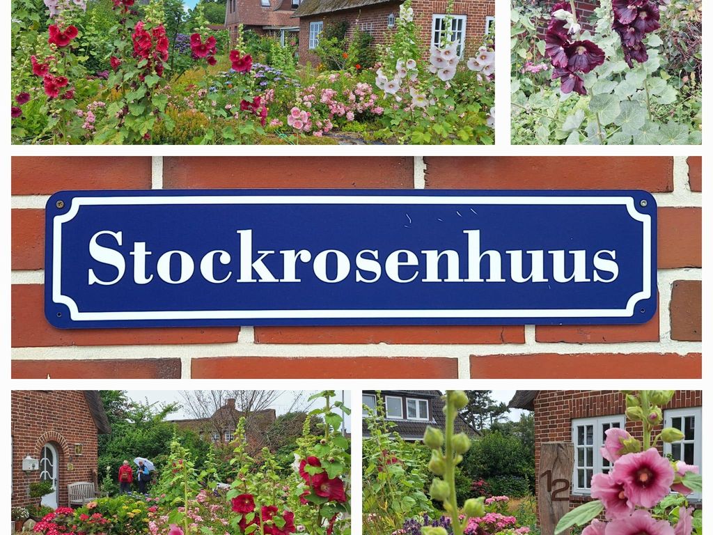 Stockrosenhuus