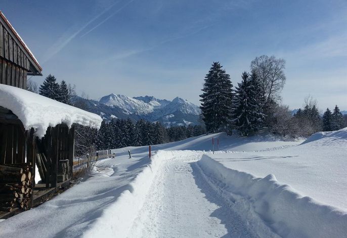 Landhaus Exclusiv – Foto 4
