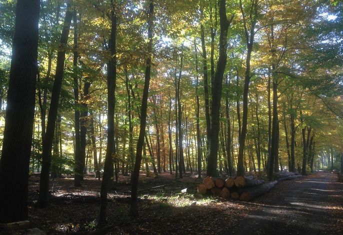 Bild 14