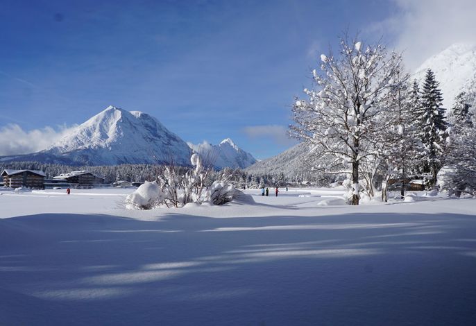 Bild 16