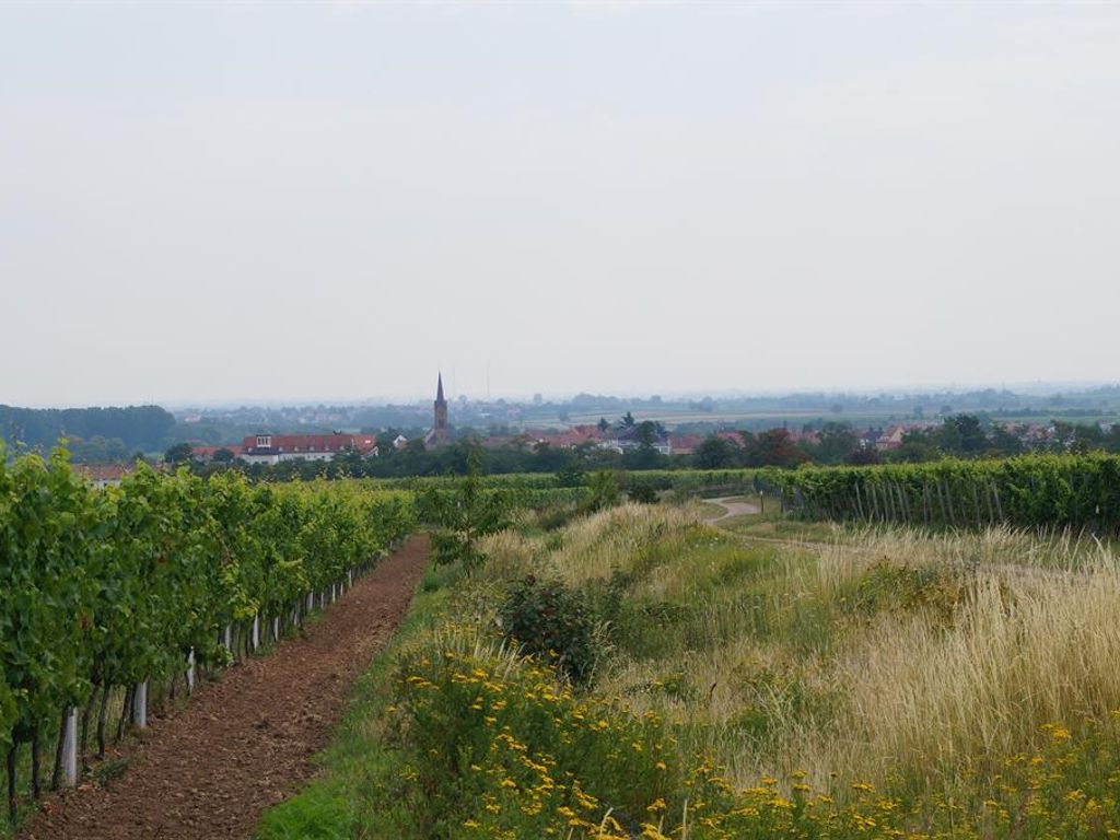 Winzerhaus im Linsenbusch
