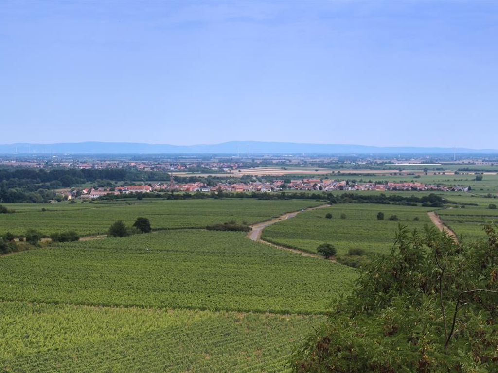 Winzerhaus im Linsenbusch