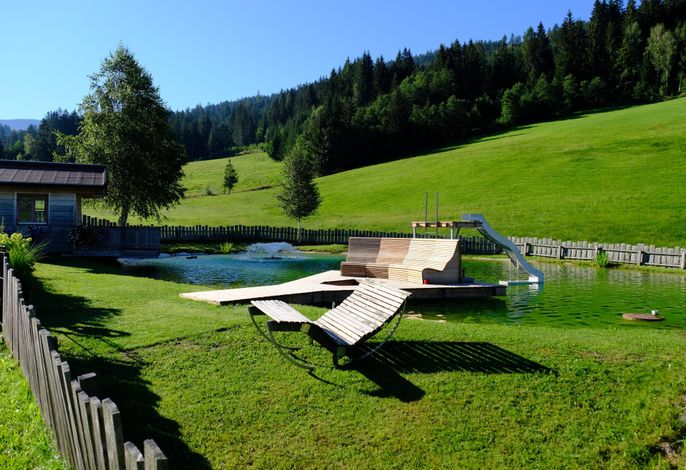 Bild 36