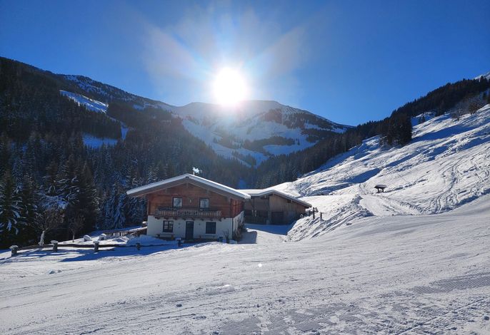 Bild 15