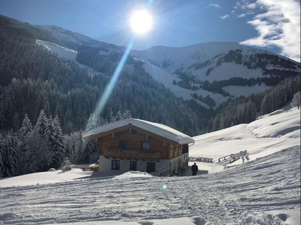 Ferienhaus Handleralm