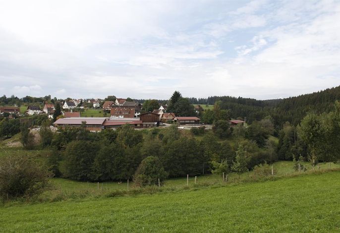 Bild 15