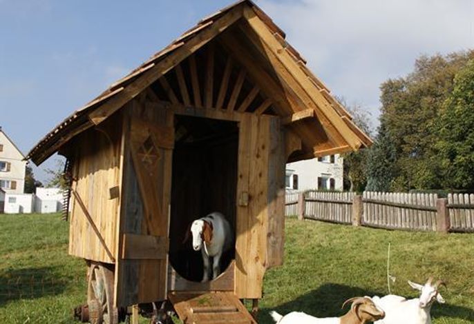 Bild 22