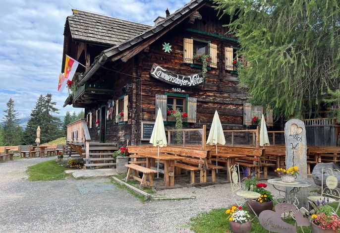 Bild 14