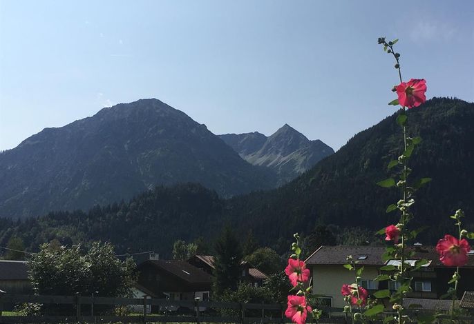 Bild 14