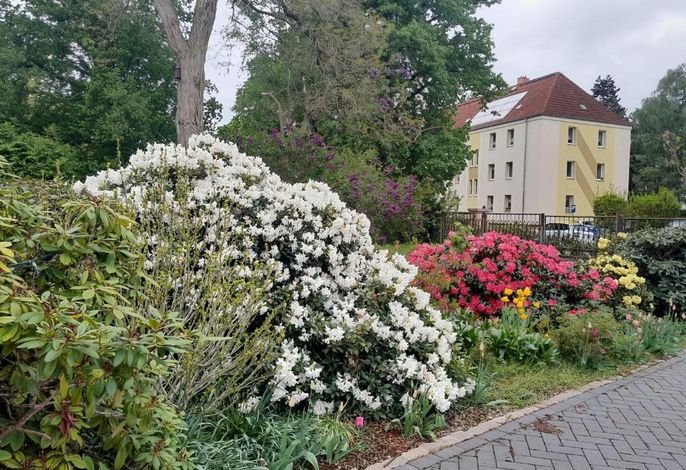 Bild 12