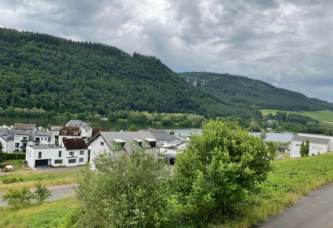 Bild 8