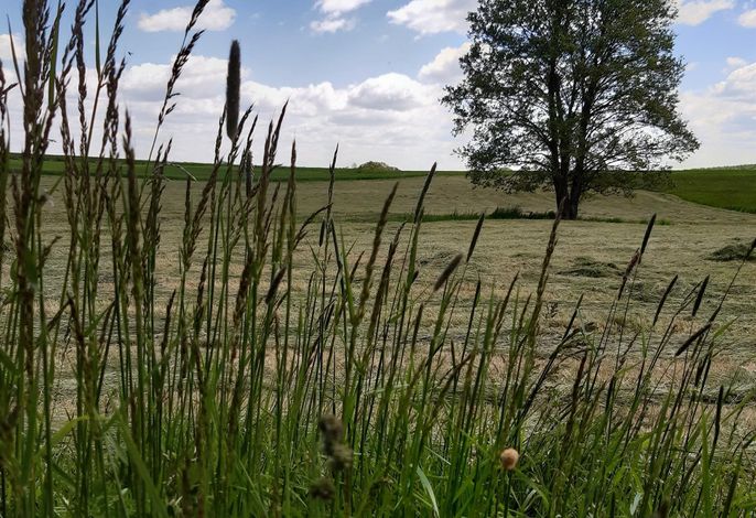 Bild 16