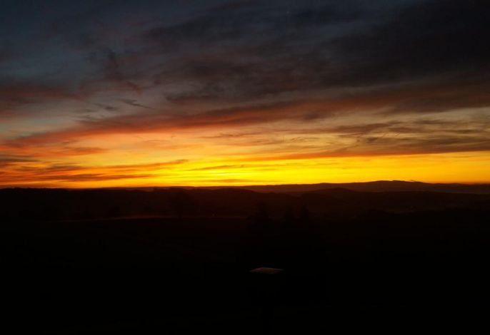 Bild 22