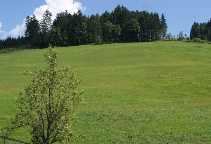 Bild 19