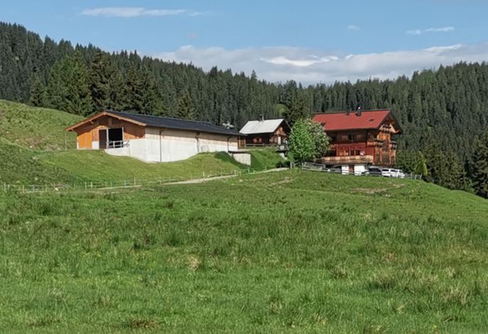 Bild 2
