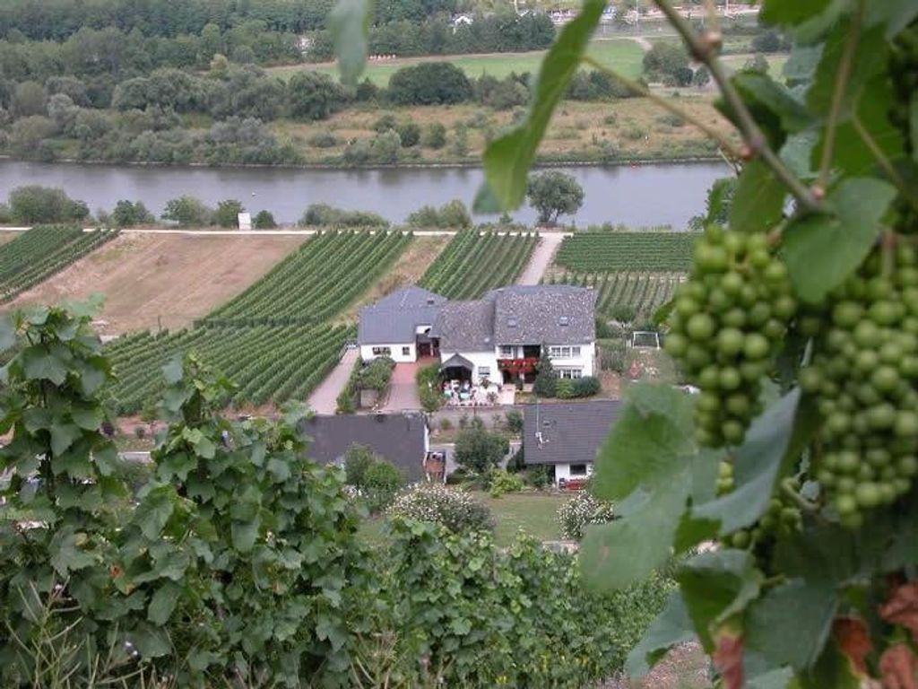 Weingut-Gästehaus Michael Scholer