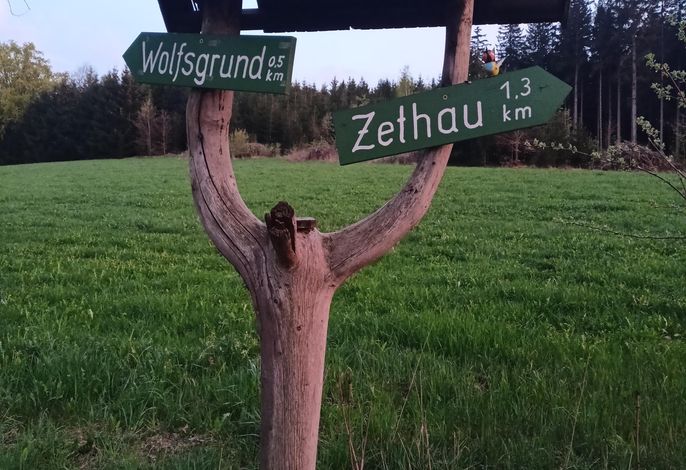 Bild 11