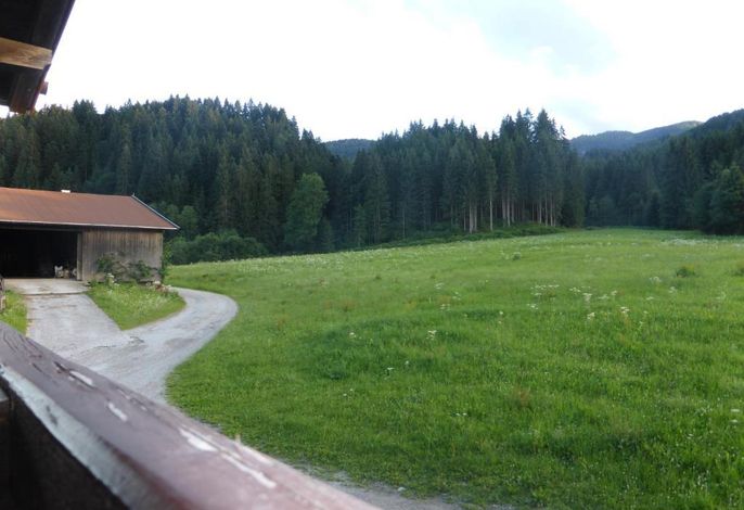 Bild 56