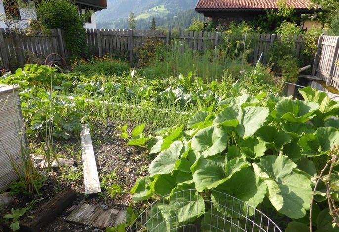 Bild 14
