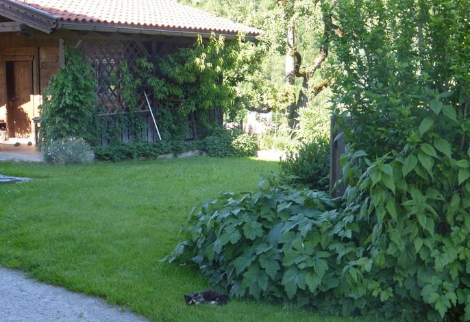 Bild 32