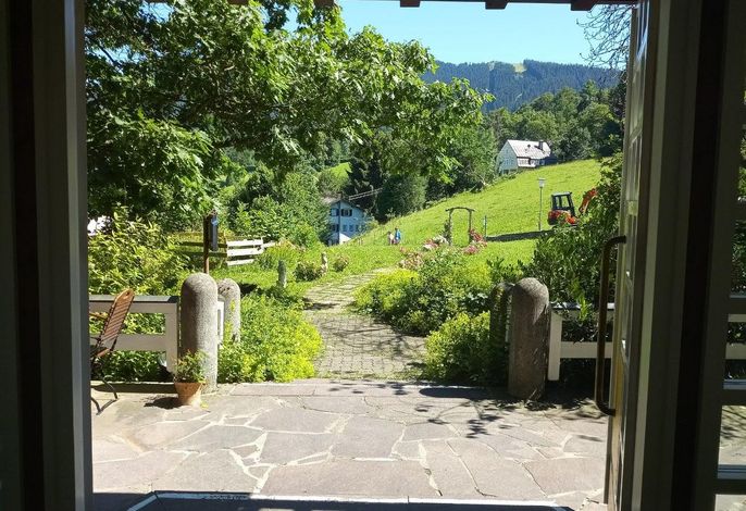 Bild 11