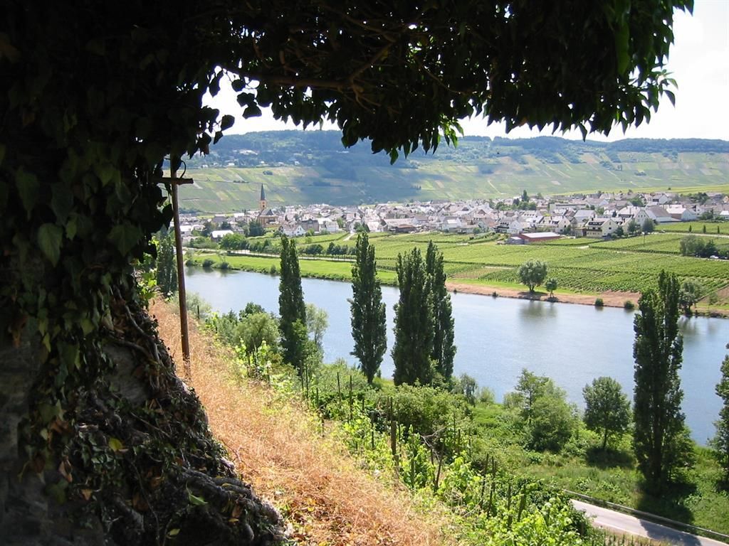 Ferienweingut Wolfgang Bollig - Inh. M. Bollig