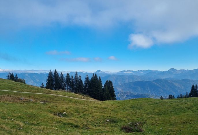 Bild 14