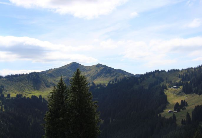 Bild 30
