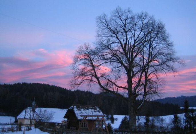 Bild 24